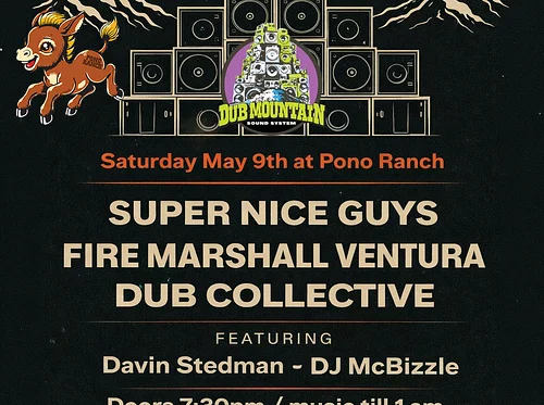 Dub Mountain Sound System: Super Nice Guys//Fire Marshall Ventura// Dub Collective….Featuring Davin Stedman Dj McBizzle