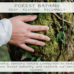 Forest Bathing: Rest, Restore, Reconnect