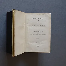 [SOLD OUT] Behind the Bookcase | A Warm Heart and a Cold Eye: The Legacy of Herman Melville | In-Person