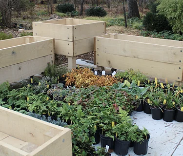 Wednesday Walk: City Demonstration Gardens