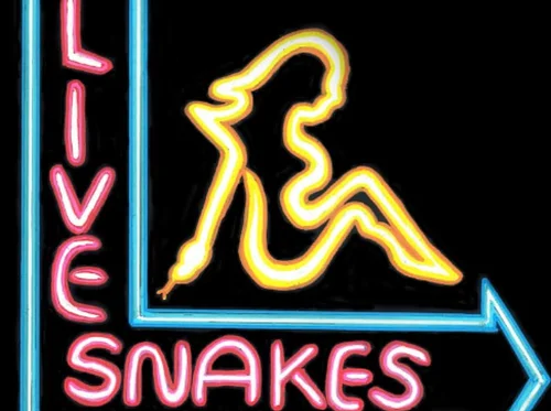 Live Snakes Comedy