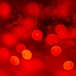 Holiday Traditions