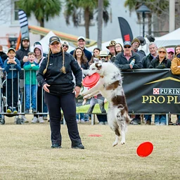 Flying Disc Dog Demo