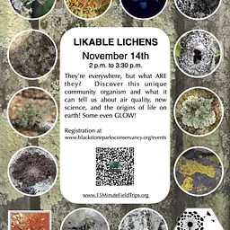 Saturday, Nov 14, 2026 @ 2:00 pm Likable Lichens
