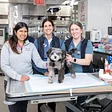 Animal Medical Center