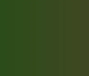 Juneteenth Celebration