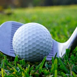 Annual Fall Golf Tournament