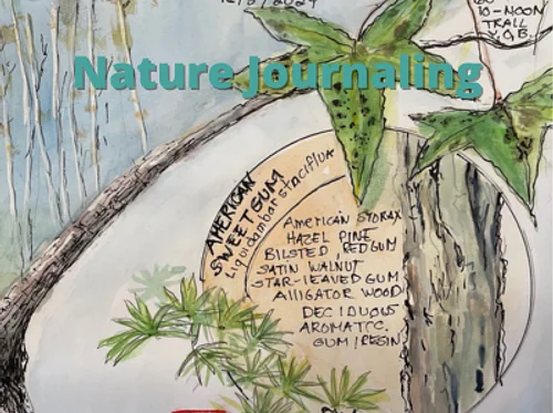 Introduction to Nature Journaling with Watercolors