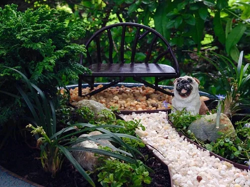 Fairy Gardens: The Art of Miniature Gardening