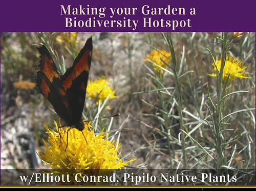 MNPS Presents…Making your Garden a Biodiversity Hotspot – online