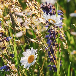 Winter Seed Sowing Workshop