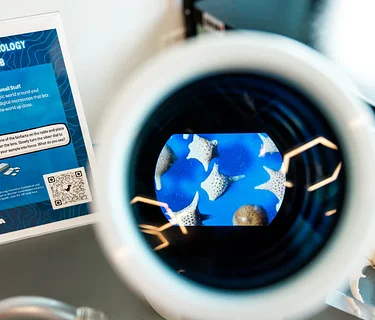 Mote SEA Drop-In Science