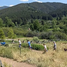 Triple Tree Watering