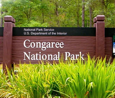 Forest Wellness – Yoga at Congaree National Park