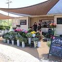Farm Stand Open |10:30am – 5:00pm| Thursday — Sunday