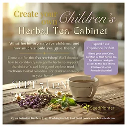 The Children’s Herbal Tea Cabinet: A Tea Thyme Experience