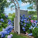 Cape Cod Hydrangea Festival