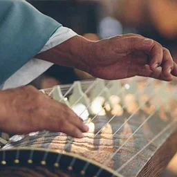 Demonstration of Koto