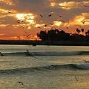 Tide Pool and Aquarium