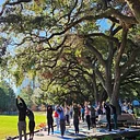 Yoga in the Park