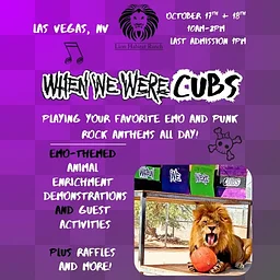 When We Were Cubs at the Lion Habitat Ranch