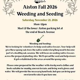 November 21, 2026 Aiston Work Party