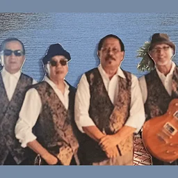 Blues Mechanics Plus