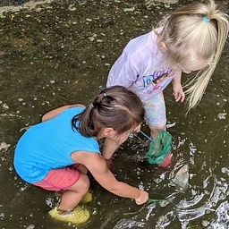 Low Tide Treasure Hunt