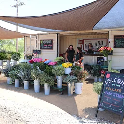 Farm Stand Open |10:30am – 5:00pm| Thursday — Sunday