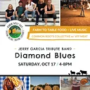 Diamond Blues w/ 10th Annual Fire + Ice Celebration