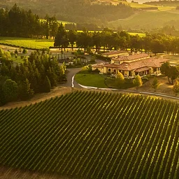 Harvest in the Hills: A Wine Tour of Dundee Hills AVA Wines