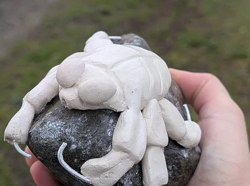 Sculpt Your Own Water Beetle