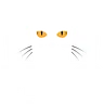 Mac Tabby Cat Cafe - Concord