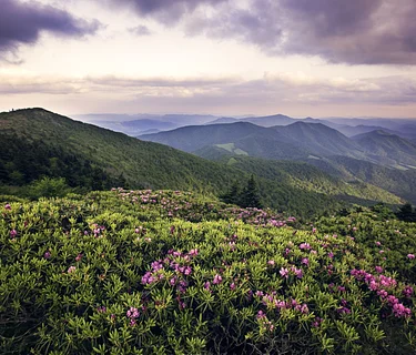 Geology of the Blue Ridge I