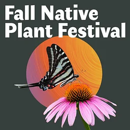 Fall Native Plant Festival