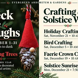 Deck the Boughs: Wishes, Wonder & Winter Creativity