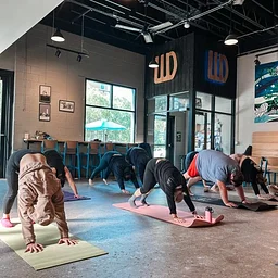Yoga on Tap with The Local Movement