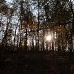 Silent Sunset Stroll