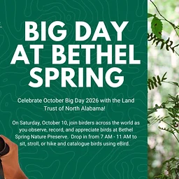 Big Day at Bethel Spring Nature Preserve