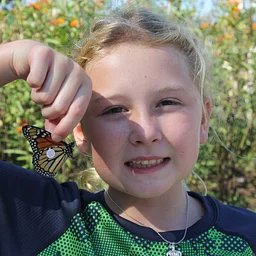 Monarch Tagging