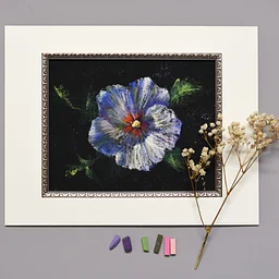 “Hibiscus Workshop in Pastels” with pastel artist Tetyana Aleksenko