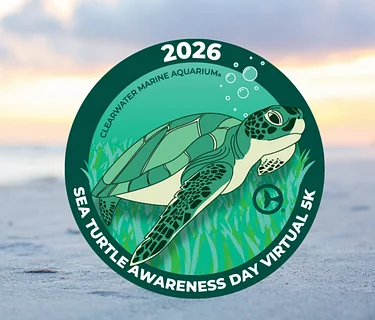 Sea Turtle Awareness Day 2026 Virtual 5K