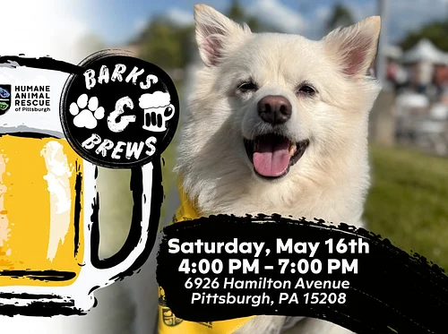 Barks & Brews