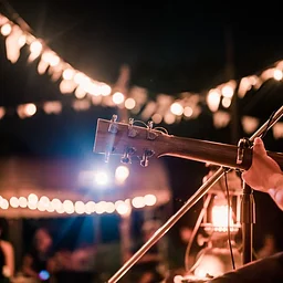 Avocado Cantina: Live Music