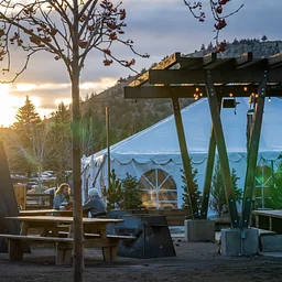 Live Music with Jackpine Jukebox