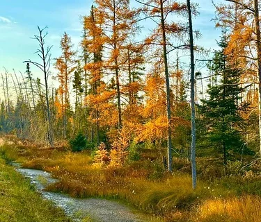 Nature’s Palette: Art Inspired by the Season