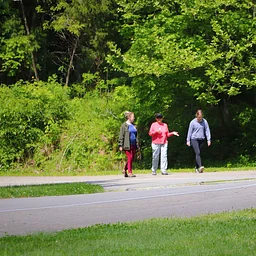 Let’s Move It: An Interpretive Health Hike
