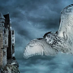 Family Fun Concert: Halloween at Hogwarts