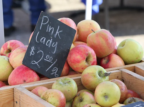 Farmers Market in the Plaza