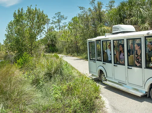 Garden Grounds Cart Tours